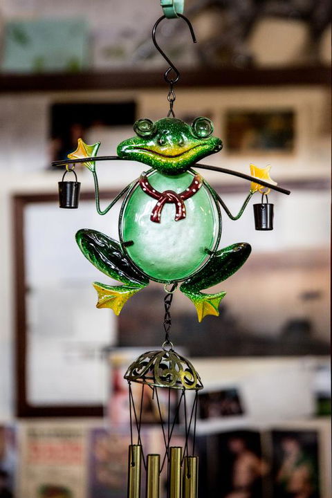 The Pickled Frog - Tourism Brisbane 35