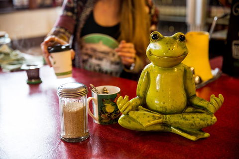 The Pickled Frog - Tourism Brisbane 32