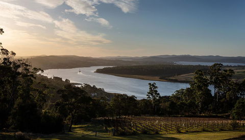 Domescapes In The Vines - Brisbane Tourism 10