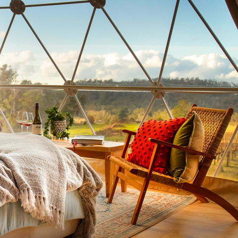 Domescapes In The Vines - Brisbane Tourism 5