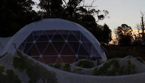 Domescapes In The Vines - Brisbane Tourism 12