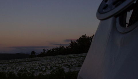 Domescapes In The Vines - Brisbane Tourism 4