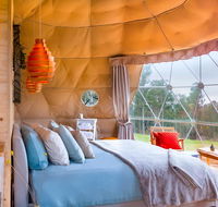 Domescapes in the Vines - Brisbane Tourism