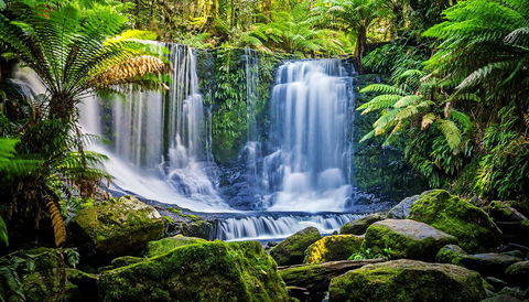 Domescapes In The Vines - Brisbane Tourism 13