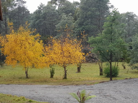 Cradle Alpine Retreat - Brisbane Tourism 3