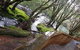 Cradle Alpine Retreat - thumb 13