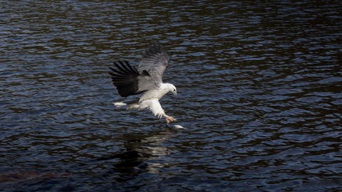 Arthur Riverfront And Sea Lodge Downstream - Brisbane Tourism 38
