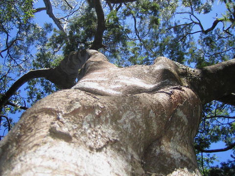 Arthur Riverfront And Sea Lodge Downstream - Brisbane Tourism 32