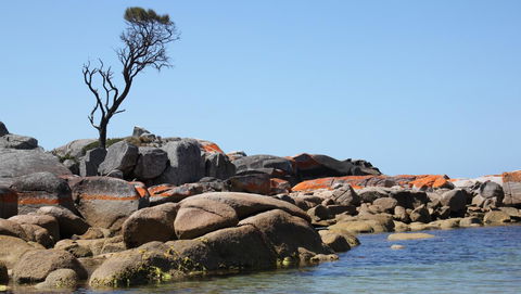 BAY OF FIRES SEACHANGE Ocean Frontage - Tourism Brisbane 21