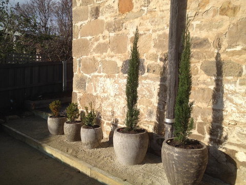 Stone Flower - Brisbane Tourism 10