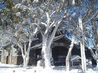 Book Dinner Plain Accommodation Vacations Tourism Brisbane Tourism Brisbane