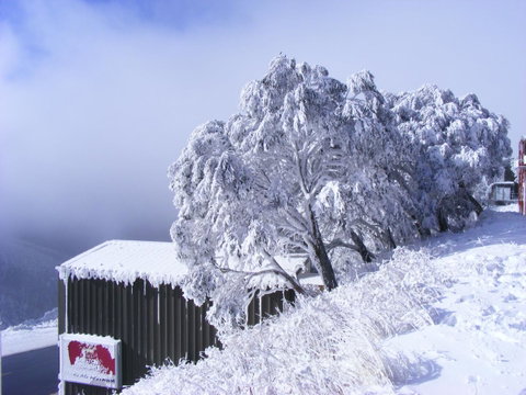 Arlberg Hotham - Brisbane Tourism 15