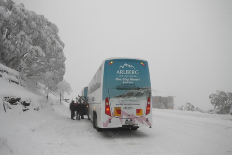Arlberg Hotham - Brisbane Tourism 17