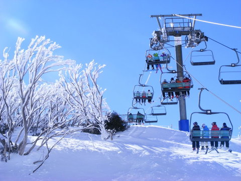 Arlberg Hotham - Brisbane Tourism 12