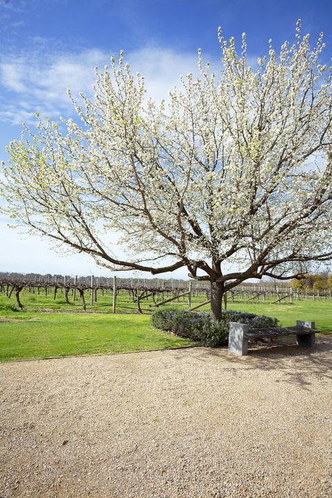 Lancemore Milawa - Tourism Brisbane 12