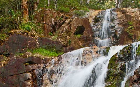 Marysville Caravan And Holiday Park - Tourism Brisbane 37