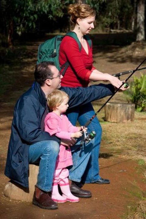 Marysville Caravan And Holiday Park - Tourism Brisbane 22