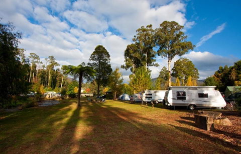 Marysville Caravan And Holiday Park - Tourism Brisbane 30