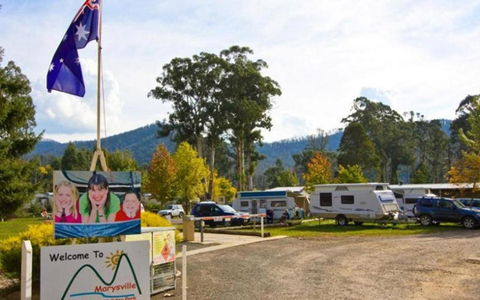 Marysville Caravan And Holiday Park - Tourism Brisbane 34