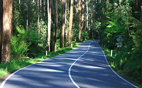Marysville Caravan And Holiday Park - Tourism Brisbane 40