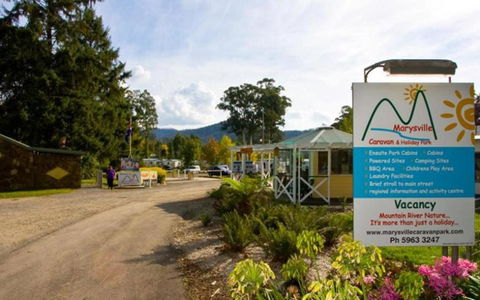 Marysville Caravan And Holiday Park - Tourism Brisbane 33