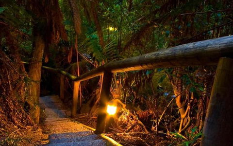 Marysville Caravan And Holiday Park - Tourism Brisbane 27