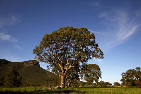 Dunkeld Studio Accommodation - Tourism Brisbane 23