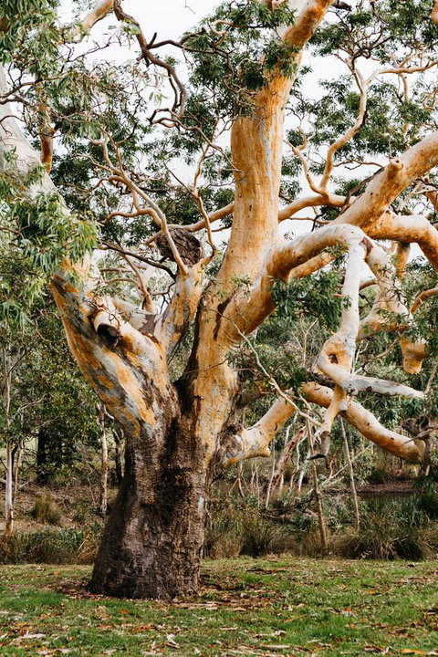 Dunkeld Studio Accommodation - Tourism Brisbane 22