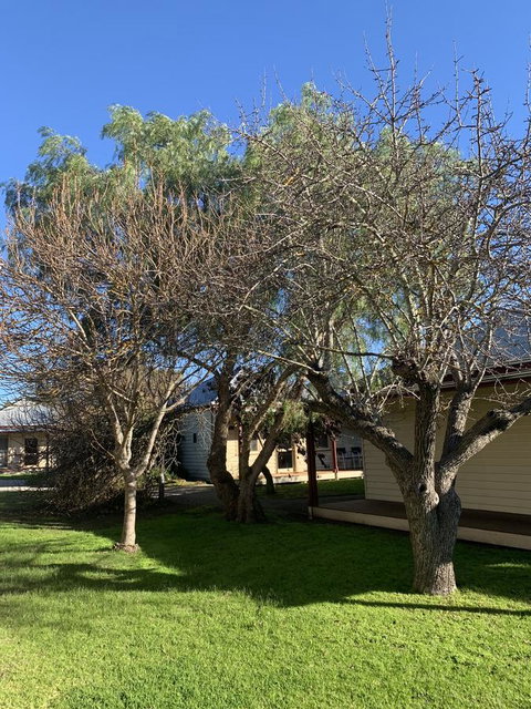 Dunkeld Studio Accommodation - Tourism Brisbane 4