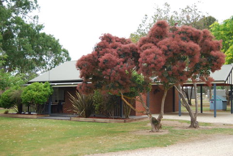 Greenvale Holiday Units - Tourism Brisbane 9