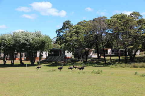 Halls Gap Lakeside Tourist Park - Tourism Brisbane 1