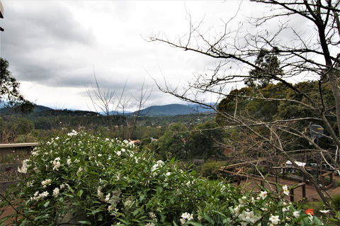 Hamptons In Healesville - Tourism Brisbane 13