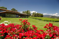 Book Yarra Glen Accommodation Vacations Tourism Brisbane Tourism Brisbane