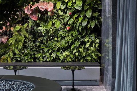 Shadow Play By Peppers - Brisbane Tourism 11