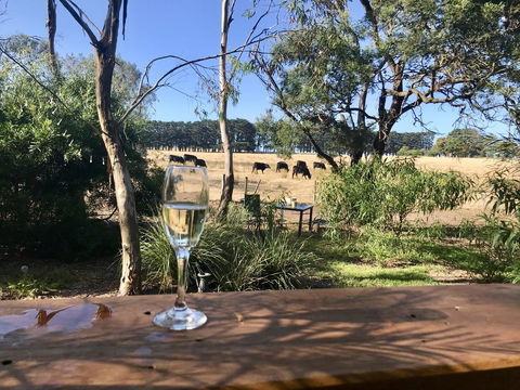 The Nature Resort Villas - Brisbane Tourism 39