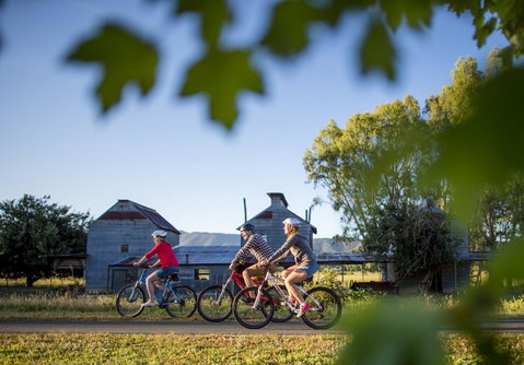 Goldfield Holiday Units - Brisbane Tourism 32