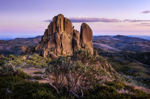 Goldfield Holiday Units - Brisbane Tourism 30
