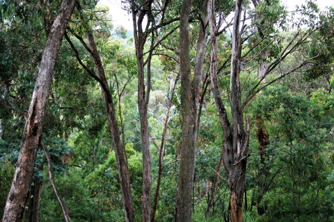 Tangenong Cottages - Brisbane Tourism 9