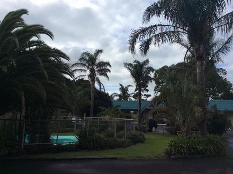 Tropicana Motor Inn - Tourism Brisbane 37