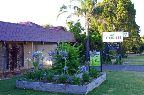 Tropicana Motor Inn - Tourism Brisbane 10