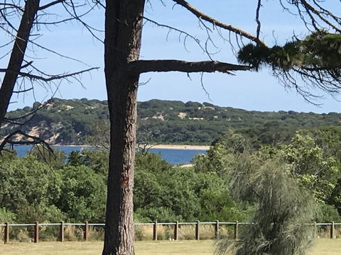 Bunya By The Sea - Tourism Brisbane 6
