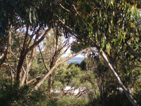 Aloha Ha Phillip Island - Tourism Brisbane 24