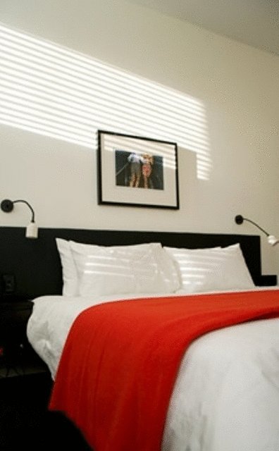 Middle Park Hotel - Brisbane Tourism 26