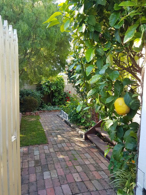 Healesville House - Fig Tree House - Tourism Brisbane 17