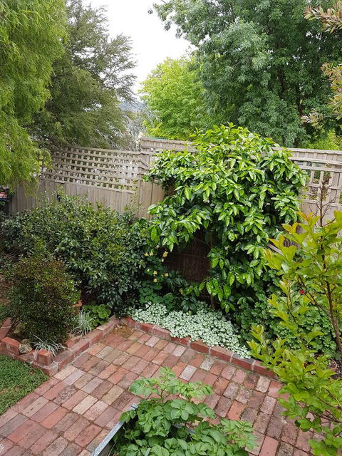 Healesville House - Fig Tree House - Tourism Brisbane 21