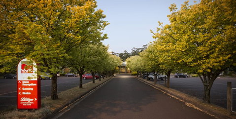 Nightcap At York On Lilydale - Brisbane Tourism 27