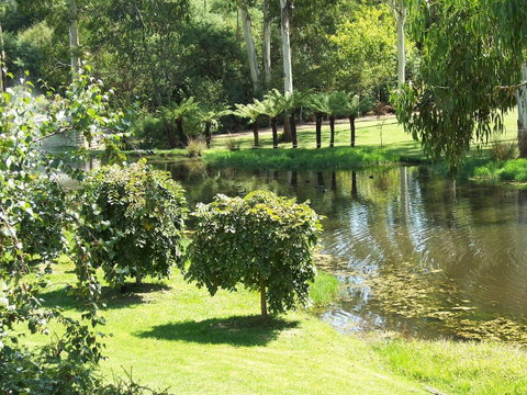 Nightcap At York On Lilydale - Brisbane Tourism 36