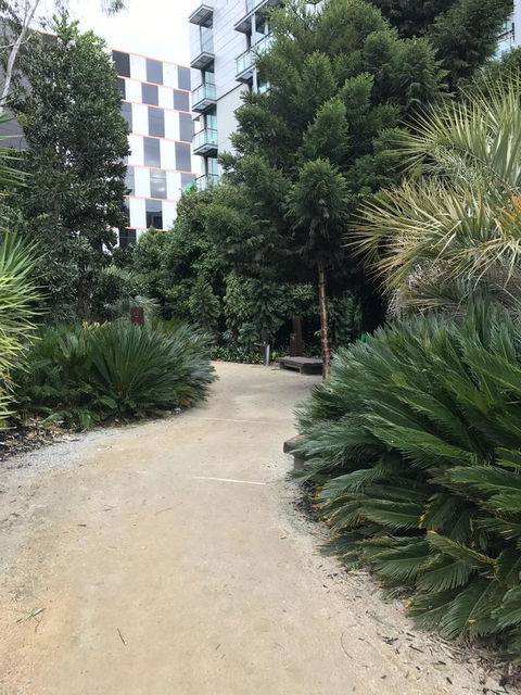 Docklands Private Collection - City Harbour Apartments - Tourism Brisbane 36