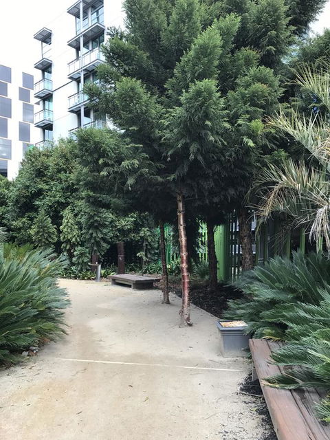 Docklands Private Collection - City Harbour Apartments - Tourism Brisbane 35