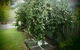 Azen Haven - thumb 12